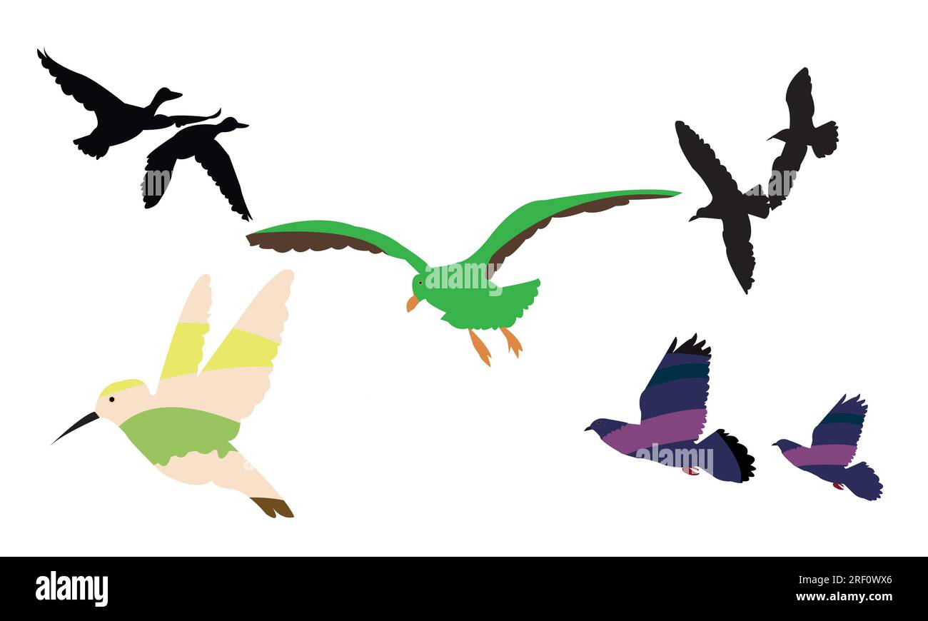 Flying Birds Vector Collection Illustrazione Vettoriale