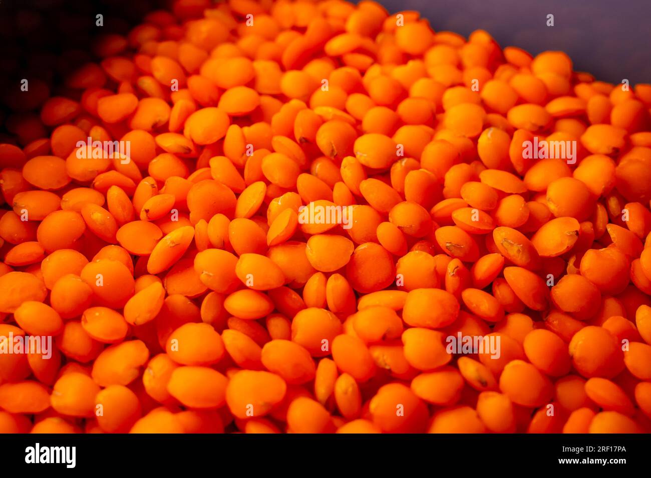 Le lenticchie arancioni in un contenitore per alimenti da vicino. Cereali sani ad alto contenuto proteico Foto Stock