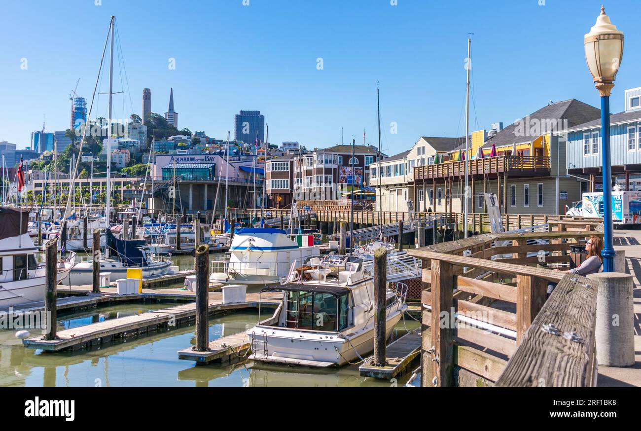 La vivace vita marina di San Francisco è in primo piano, mentre l'iconico skyline della città si bagna nel caldo bagliore di una soleggiata giornata californiana. Foto Stock