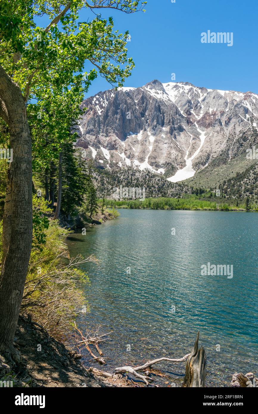 Le tranquille rive del lago Convict, incorniciate dalle cime della Sierra Foto Stock