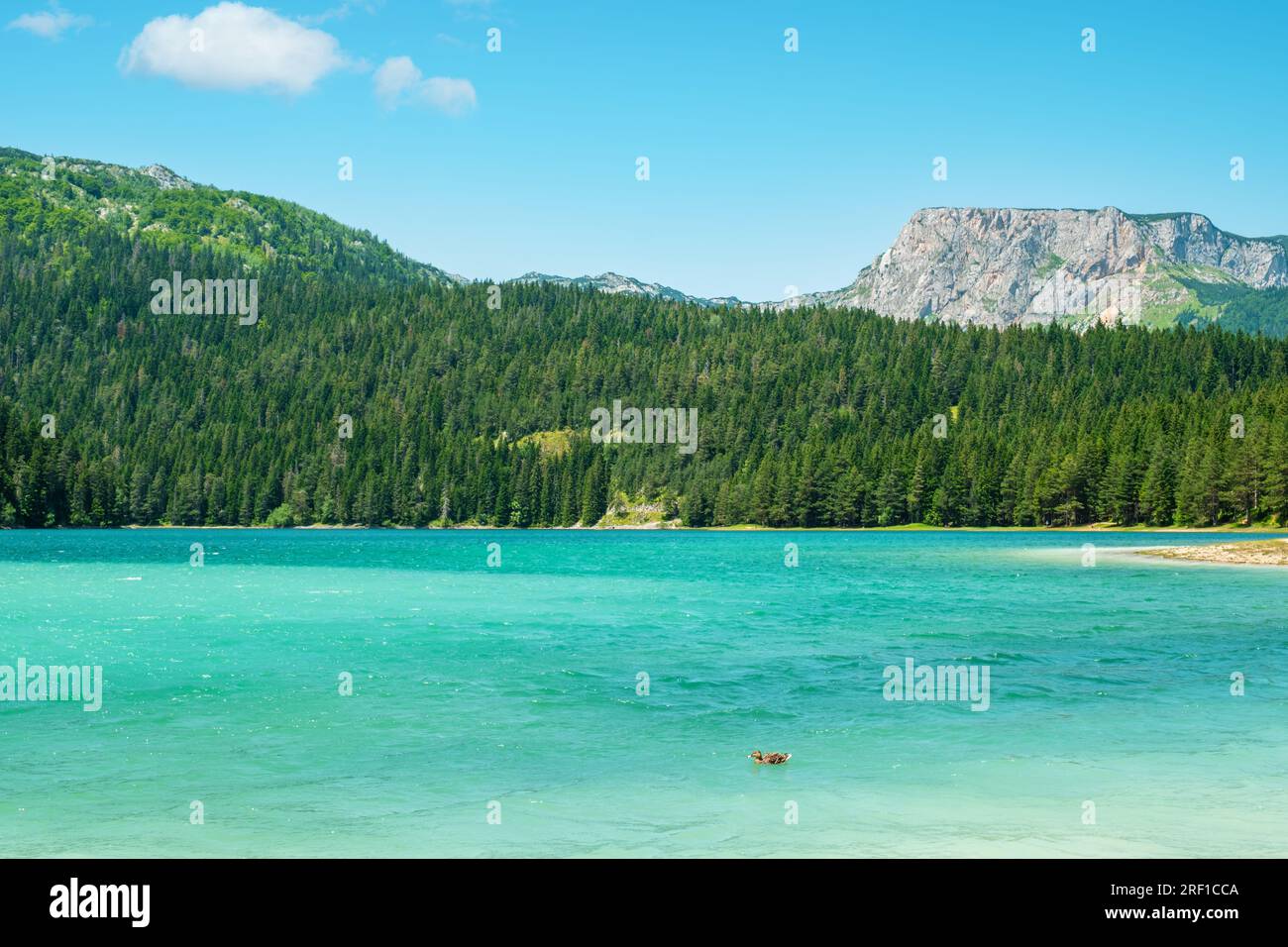 Acque turchesi del Black Lake (Crno Jezero) nel Durmitor National Park. Zabljak, Montenegro Foto Stock