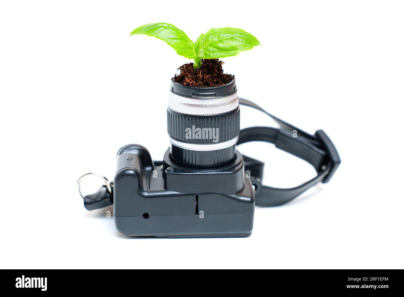 La giovane pianta emerge con grazia dall'obiettivo di una fotocamera in miniatura, simboleggiando il concetto di sviluppo del talento e di esplorazione creativa. Foto Stock