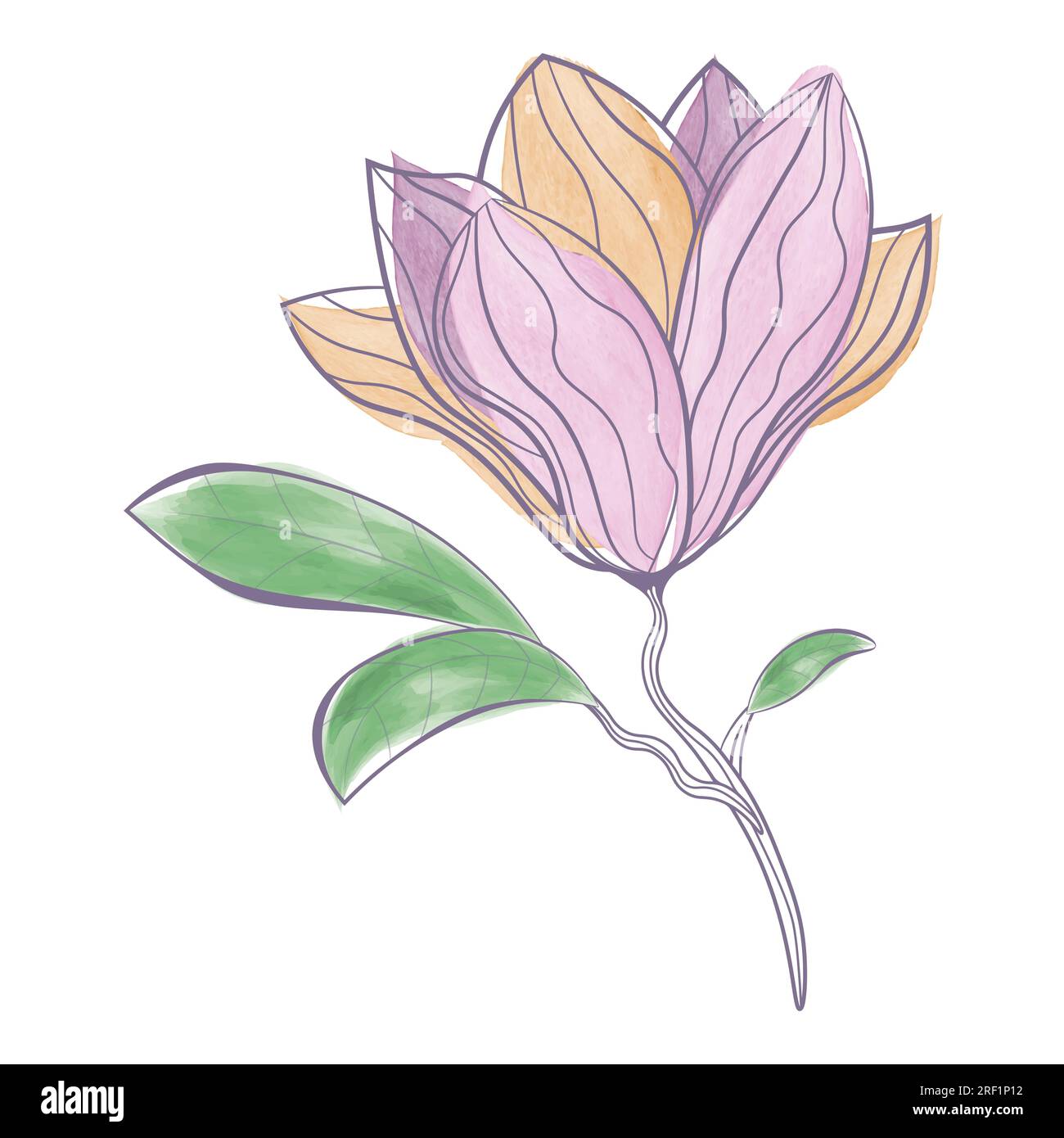 immagine vettoriale del fiore astratto di magnolia acquerello Illustrazione Vettoriale