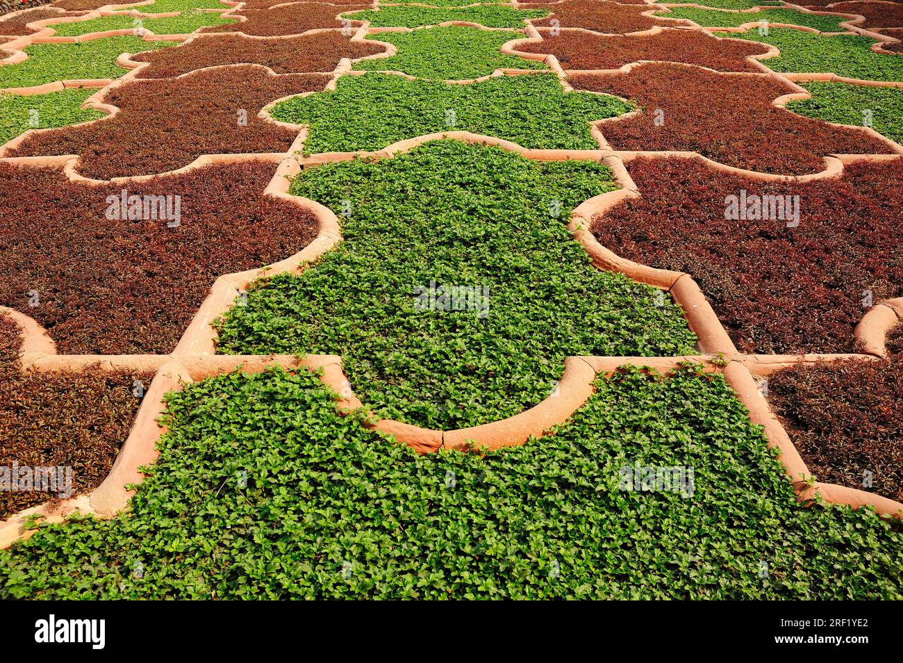 Giardino delle erbe nel cortile, Red, Red Fort, Agra, Uttar Pradesh, India Foto Stock