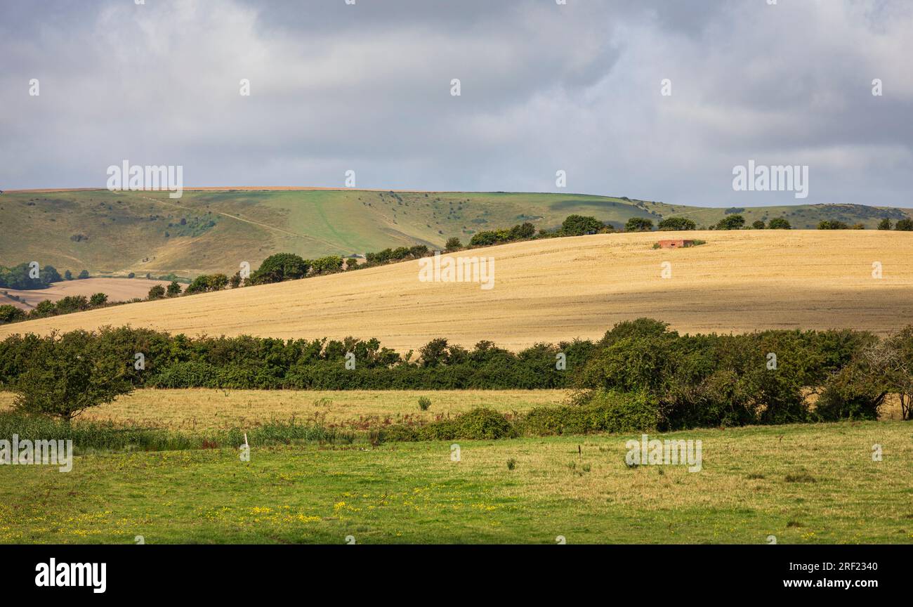 Scatola di pillole della seconda guerra mondiale su una collina lungo la valle di ouse fuori Lewes, Sussex, sud-est dell'Inghilterra, Regno Unito Foto Stock