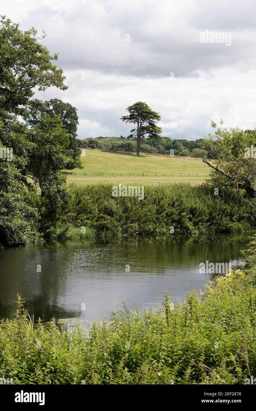 Il fiume Avon nel Warwick Castle Estate Grounds, Warwickshire, Inghilterra, Regno Unito Foto Stock