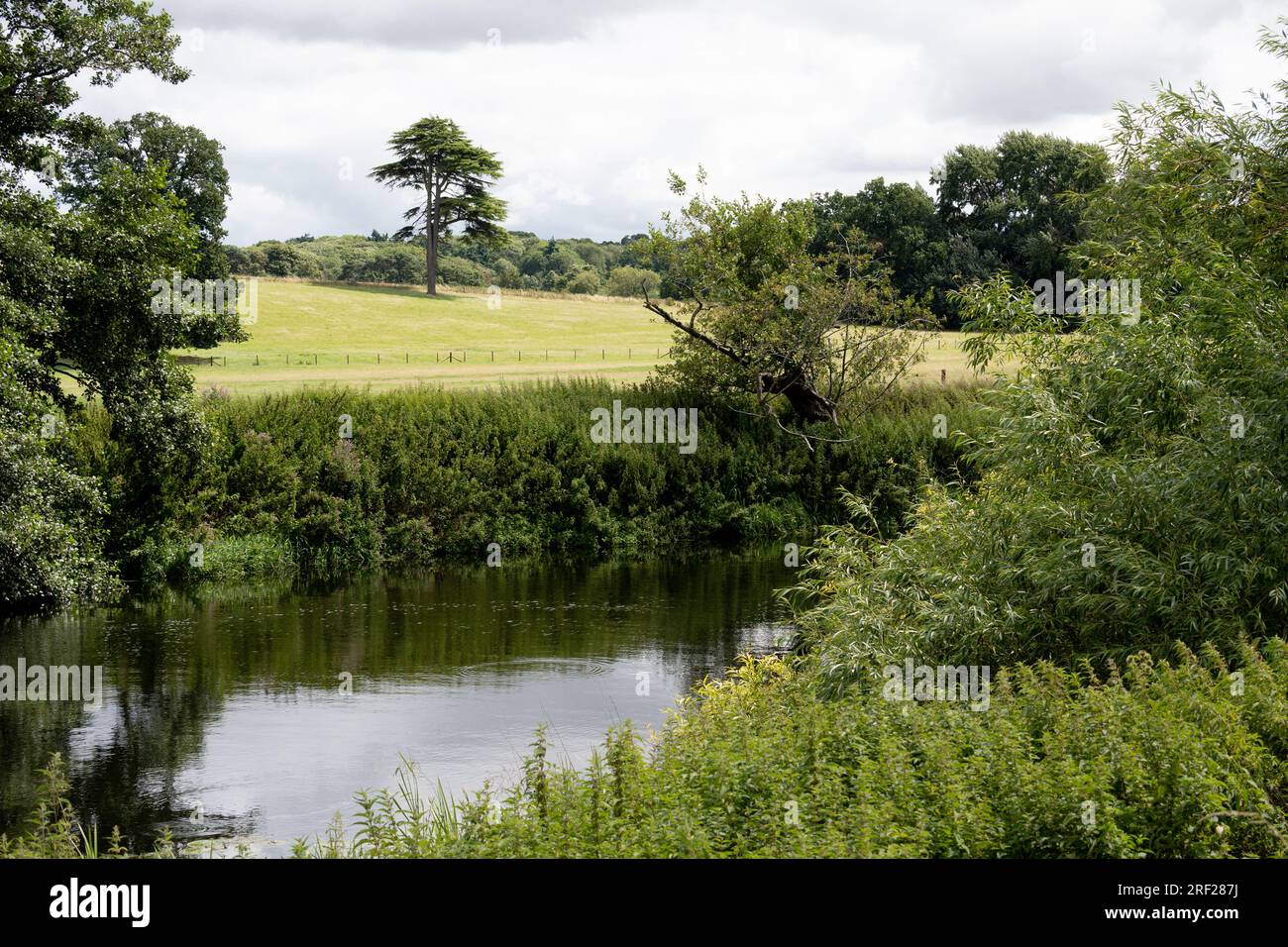Il fiume Avon nel Warwick Castle Estate Grounds, Warwickshire, Inghilterra, Regno Unito Foto Stock