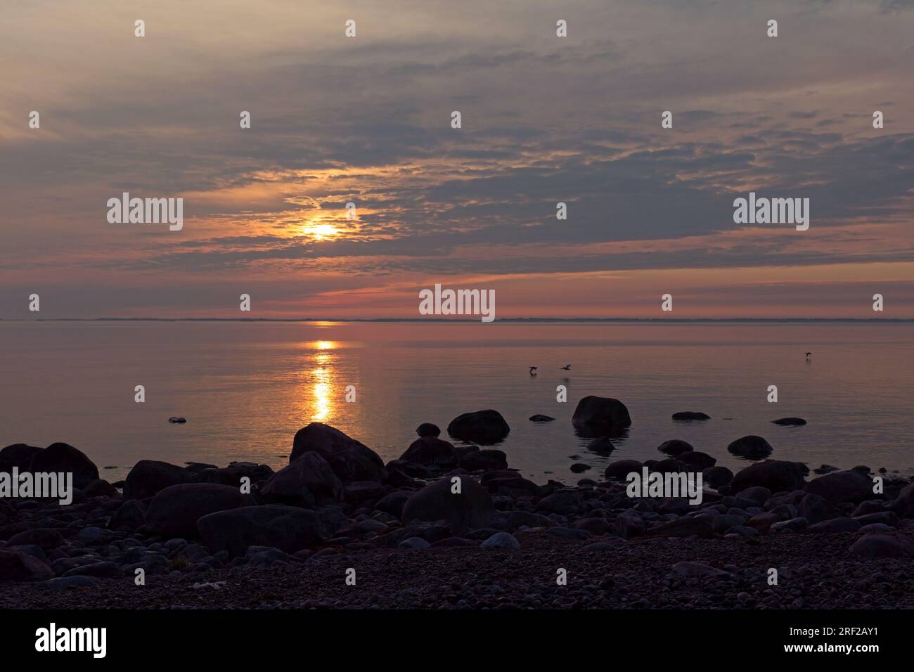 Tramonto colorato sulla riva del mare in primavera sull'isola di Örö, Kemiönsaari, Finlandia. Foto Stock