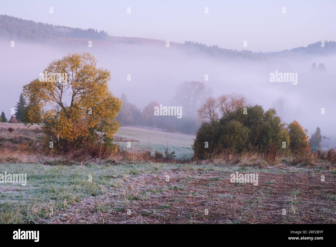 Paesaggio nebbioso con foresta di montagna. Vista panoramica della montagna prima dell'alba Foto Stock