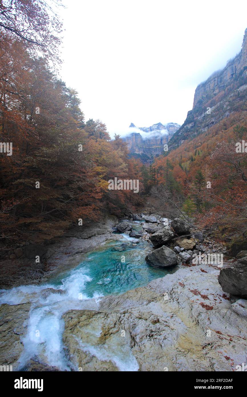 Richiesta del cliente - immagini fluide Foto Stock