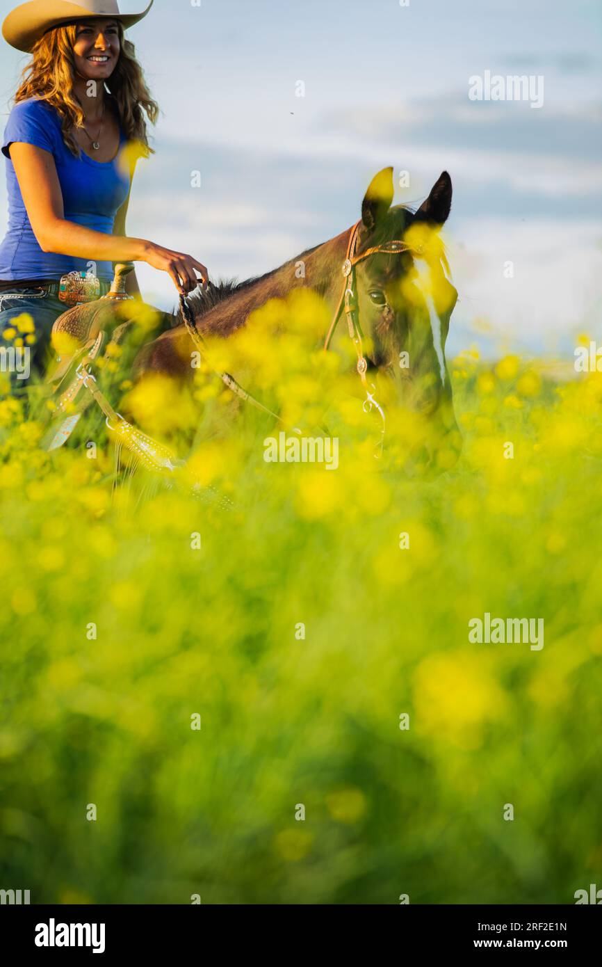 Ragazza che cavalca in un campo di canola nel Montana Foto Stock