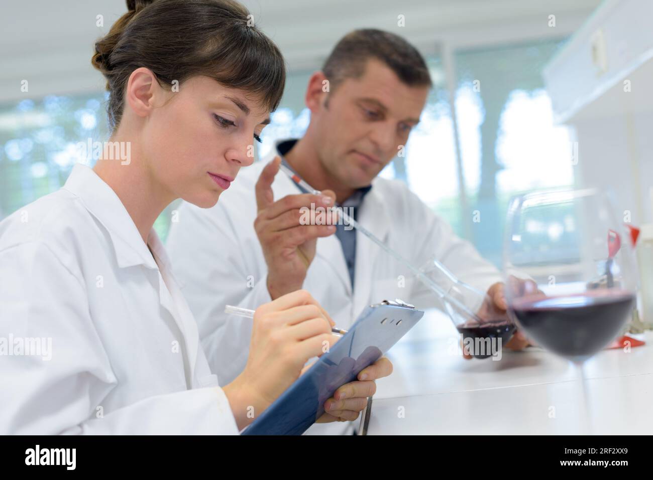 operai del vino in laboratorio biochimico Foto Stock