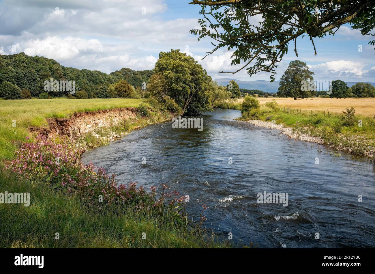 Sottotaglio e deposizione lungo il fiume Eamont, Penrith, Cumbria, Regno Unito Foto Stock