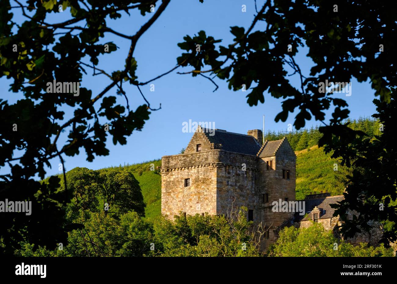 Una vista del Castello Campbell circondato dal fogliame di Glen Dollar, Scozia Foto Stock