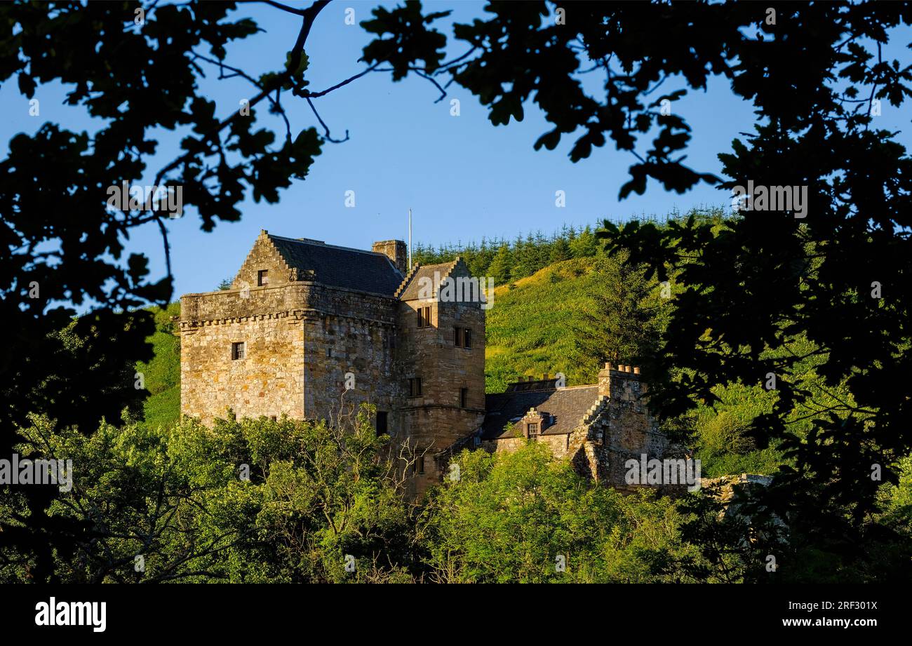 Una vista del Castello Campbell circondato dal fogliame di Glen Dollar, Scozia Foto Stock