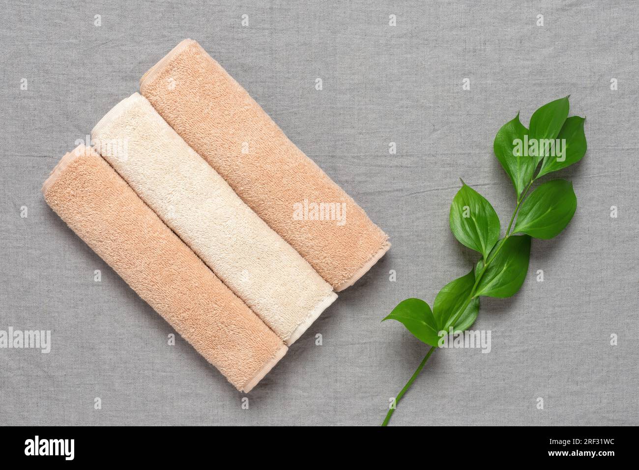 Asciugamani in spugna beige in rotoli e foglie verdi rusco su sfondo tessile di lino grigio. Vista dall'alto, base piatta. Foto Stock