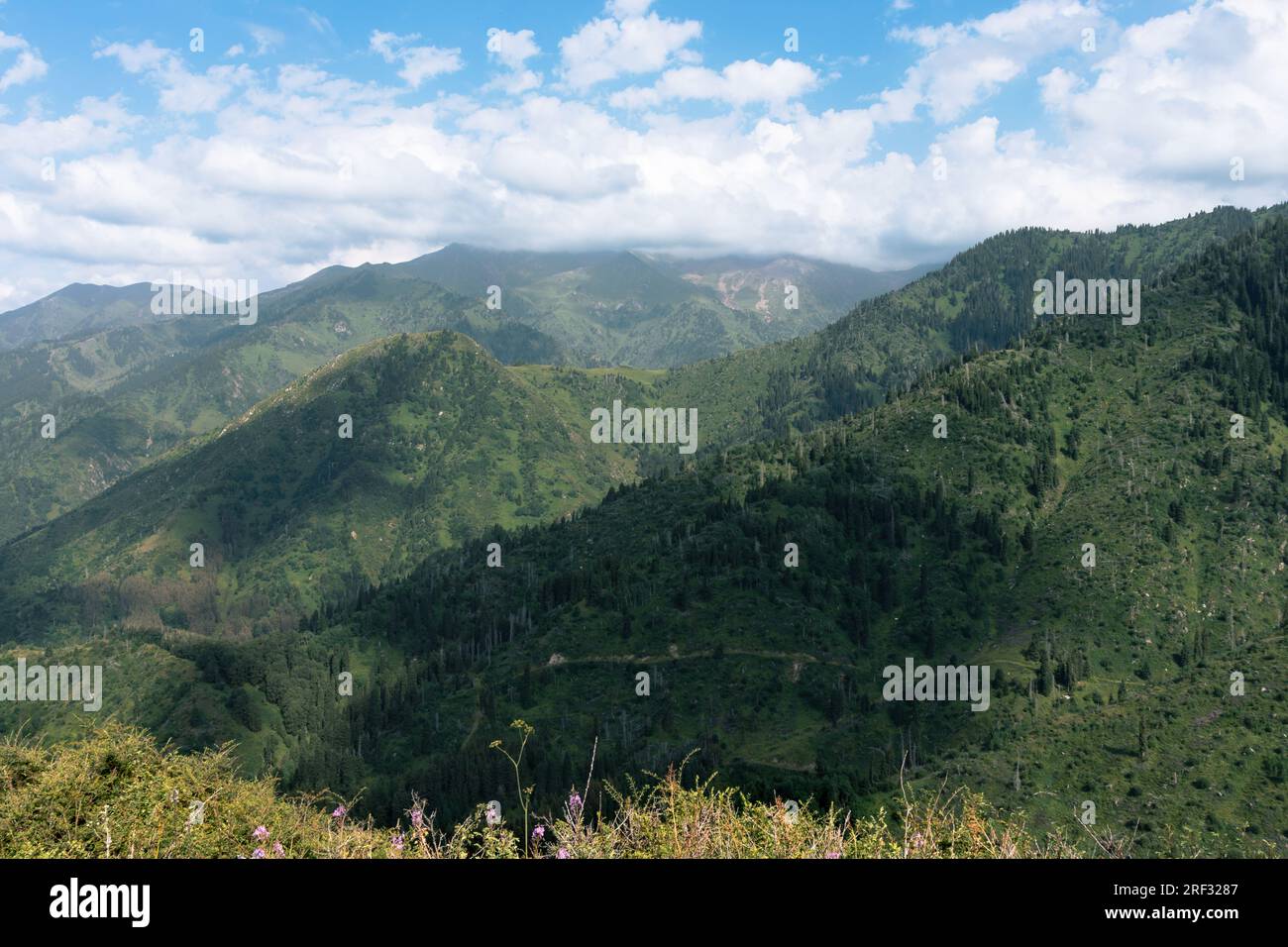 Paesaggi montuosi con verdi colline e un cielo azzurro con nuvole sparse Foto Stock