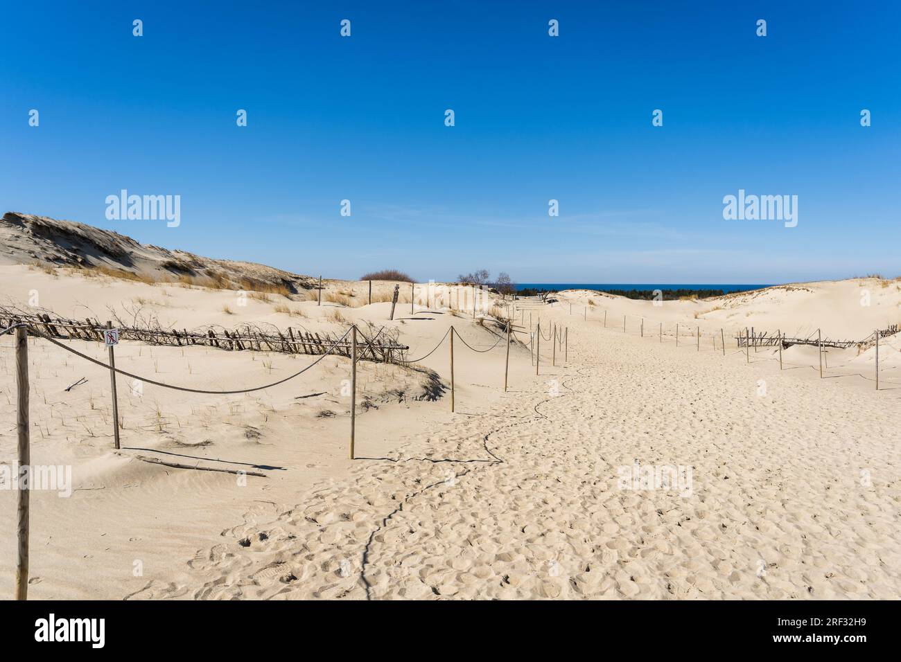 Le Gray Dunes, o Dead Dunes, sono colline sabbiose con un po' di macchie verdi sul lato lituano dello Spit Curoniano. Foto Stock