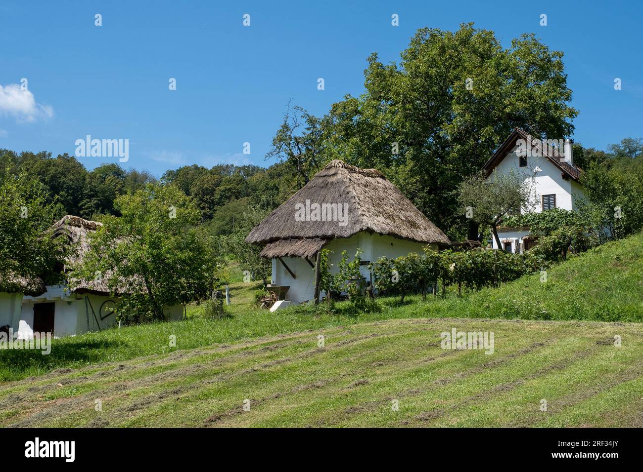 L'idilliaco distretto delle cantine di Heiligenbrunn, Austria Foto Stock