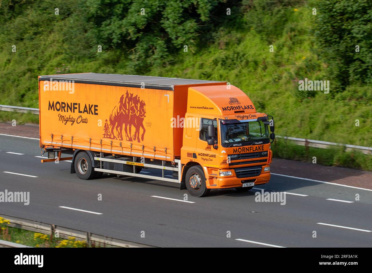 Mornflake Might Oats camion rigido con telone laterale DAF CF con registrazione personalizzata, viaggia a velocità sostenuta sull'autostrada M6 a Greater Manchester, Regno Unito Foto Stock