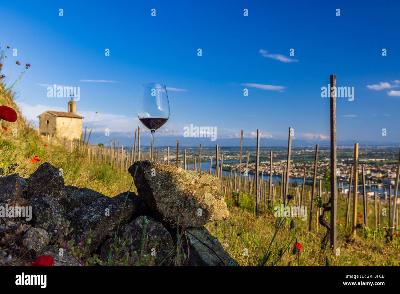 Vigneto Grand cru e Cappella di San Cristoforo, Tain l'Hermitage, Rodano-Alpi, Francia Foto Stock