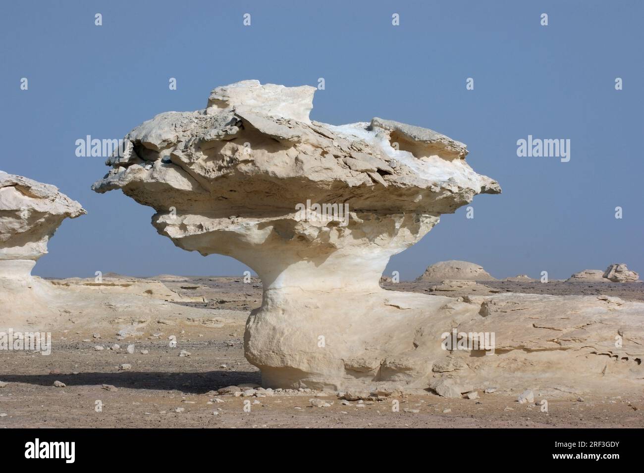 Il deserto bianco con formazione di roccia in Egitto Foto Stock