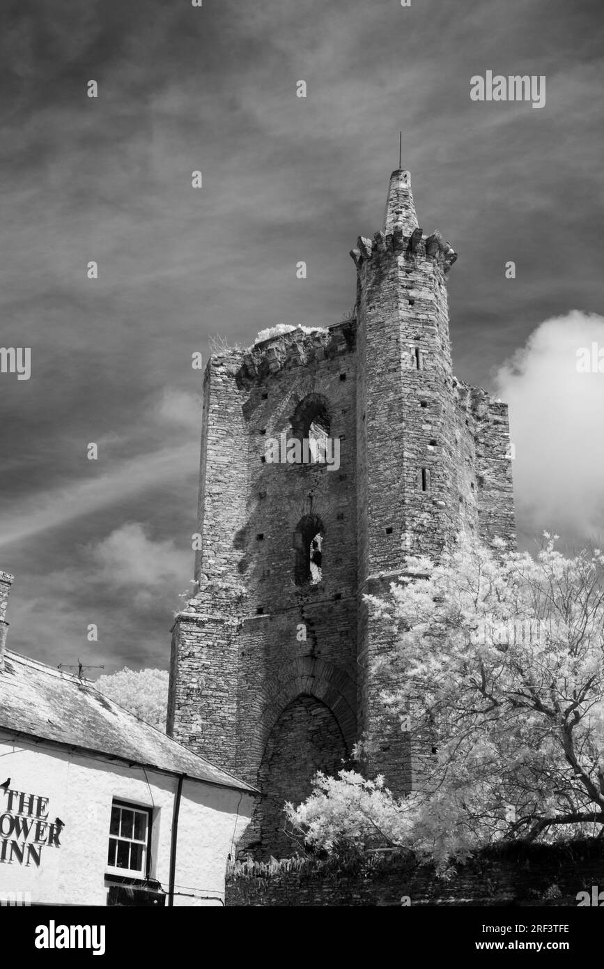 Chantry, Slapton, Devon, Regno Unito. Infrarossi. Foto Stock