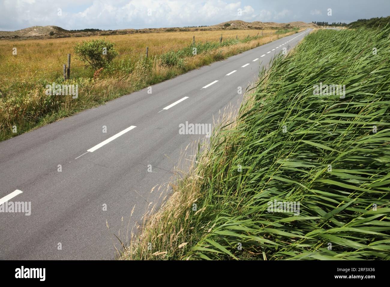 Sezione della pista ciclabile "Panoramica" di 26 km n. 404, Fanø / Isola di Fano, Danimarca, tra Sonderho e Nordby. Foto Stock