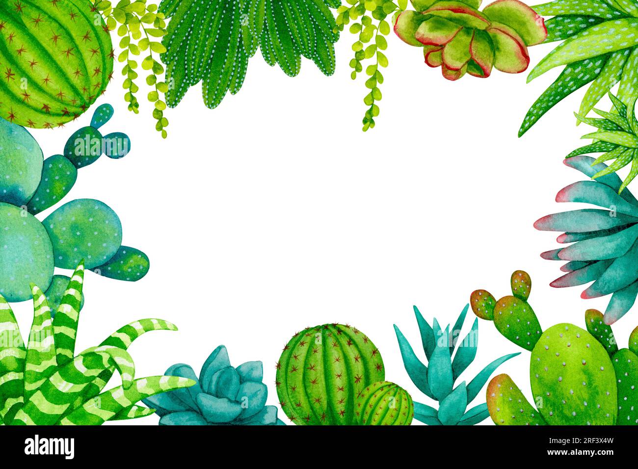 Cornice rettangolare di cactus e succulente. Colore acquerello bordo disegnato a mano per carte, poster, annuncio, cancelleria, loghi, pubblicità e. Foto Stock