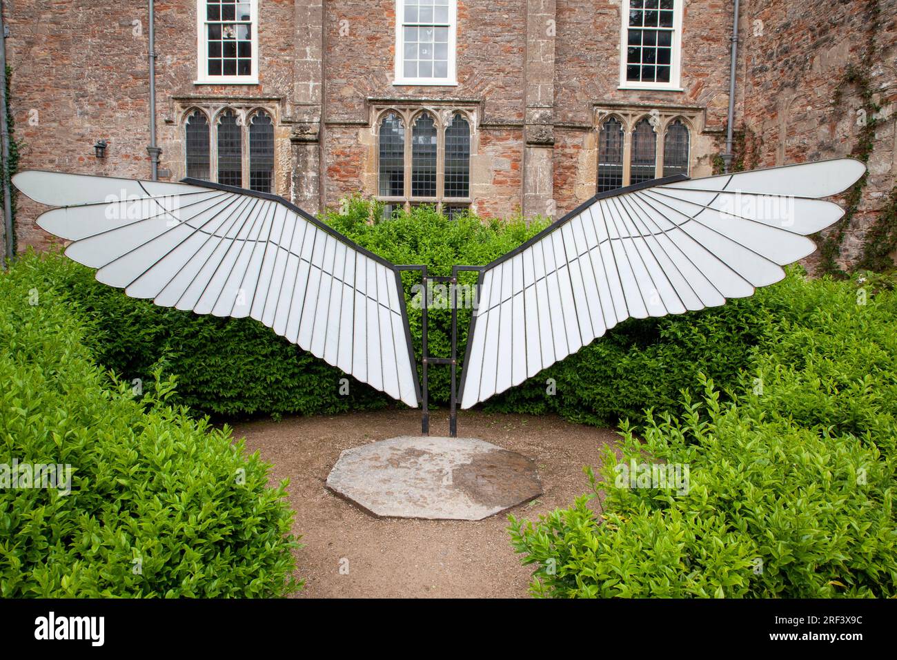 Le ali bianche di Edgar Phillips al Bishop's Palace a Wells Somerset Foto Stock