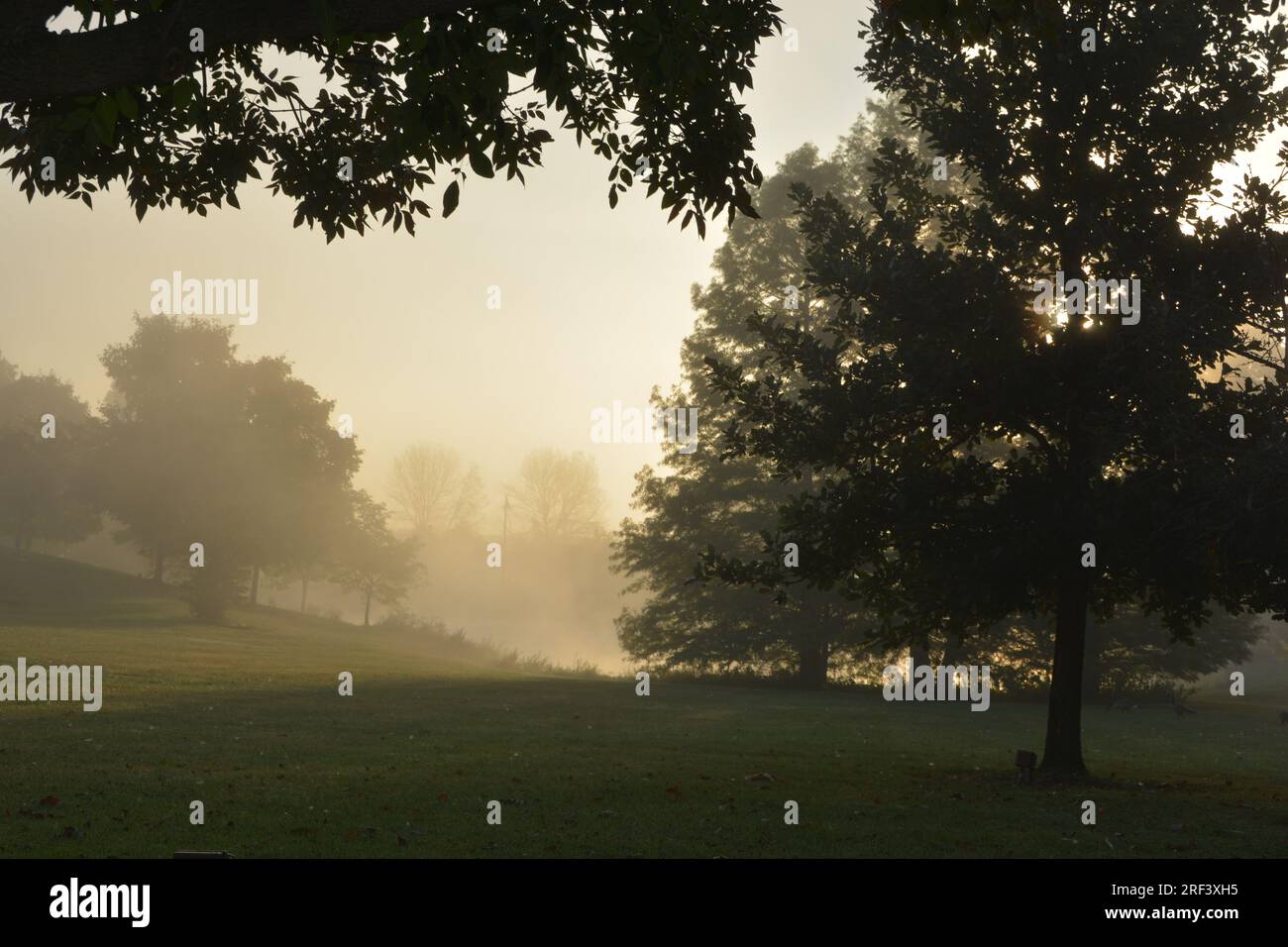 La tranquilla nebbia mattutina in un primo giorno d'autunno. Foto Stock