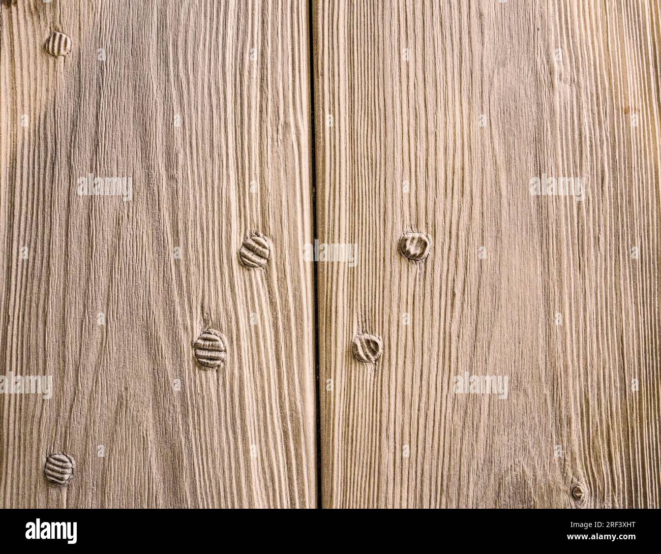 Tavola di pino in una casa signorile inglese tagliata nel corso di molti secoli per rivelare grani profondi e tasselli utilizzati nella sua costruzione Foto Stock