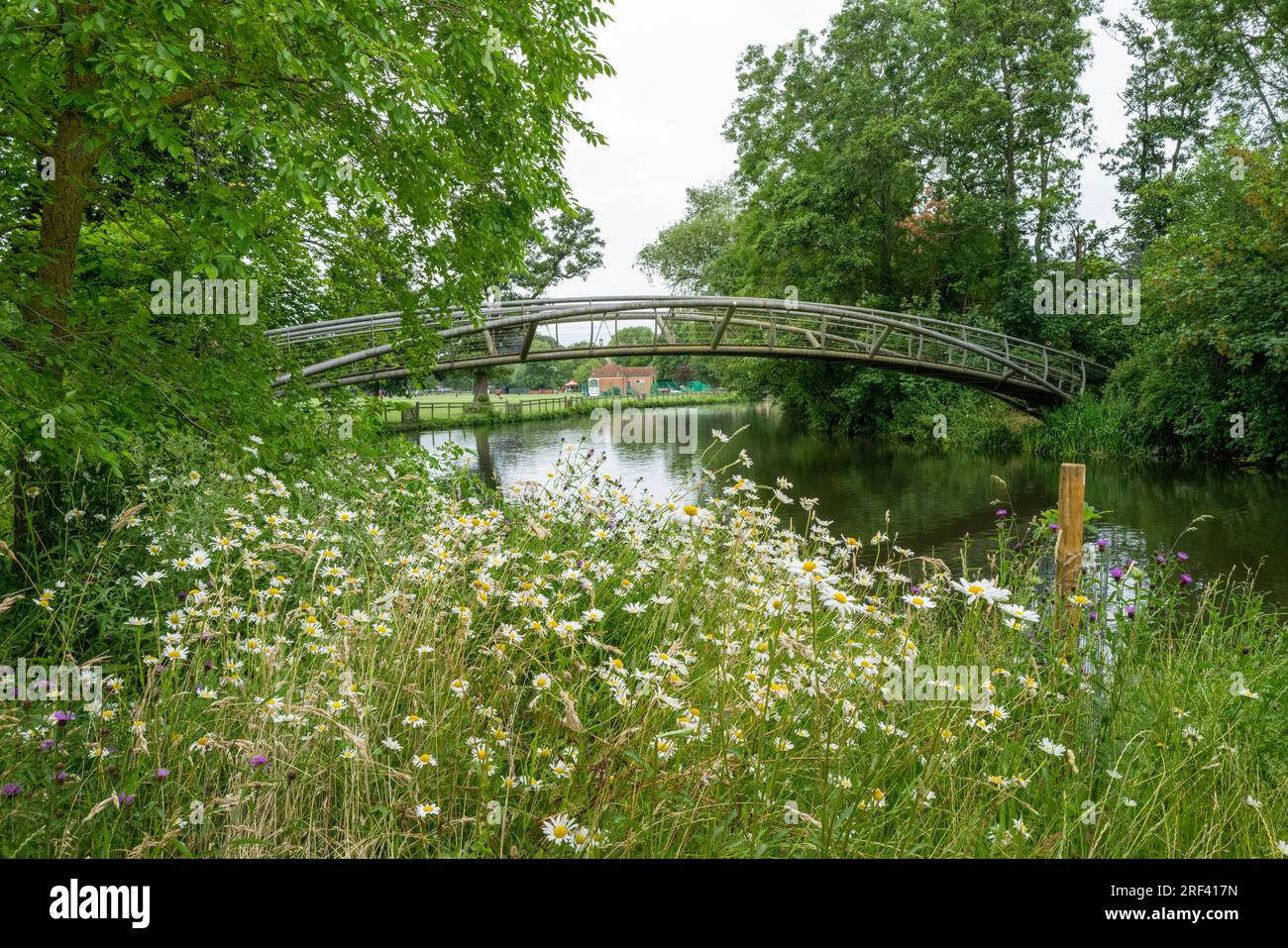 Un bel ponte di quercia a Christchurch Meadows, Oxford Foto Stock