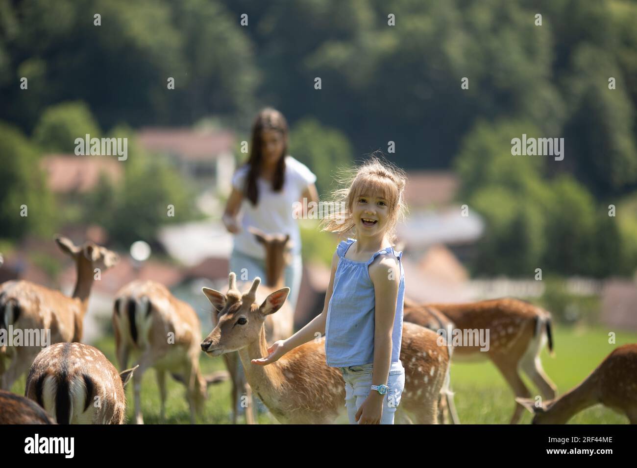 Due graziose bambine tra le mandrie di renne nella giornata di sole Foto Stock