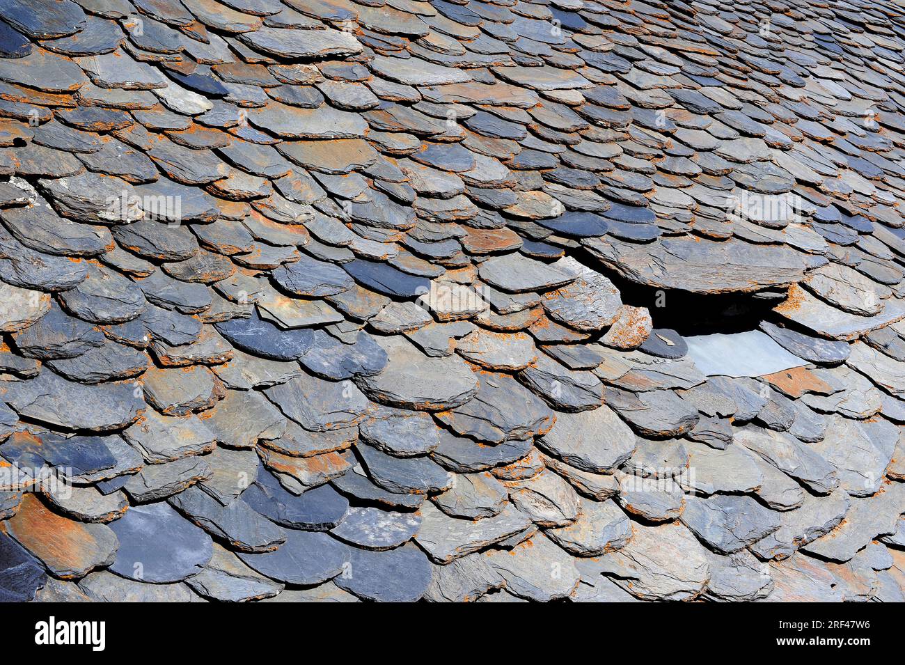 Scisto del tetto. Lo shale è una roccia sedimentaria compatta fissile. Questa foto è stata scattata a Pallars Sobira, Lleida, Catalogna, Spagna. Foto Stock