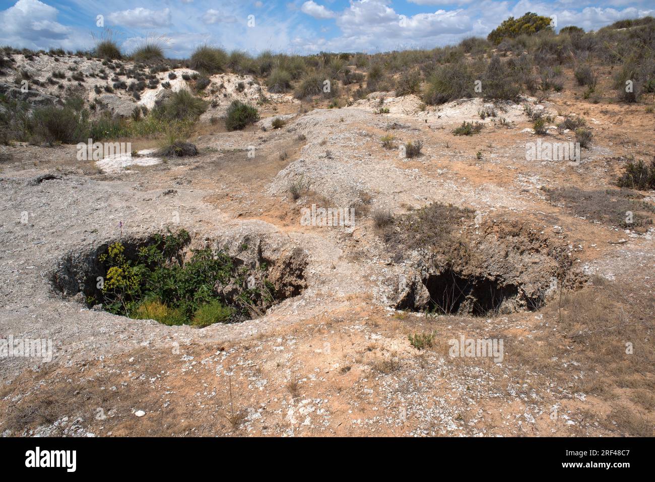 Chasms in gesso carsico con esparto erba e gesso vegetazione. Parco Naturale Sorbas, Almeria, Andalusia, Spagna. Foto Stock