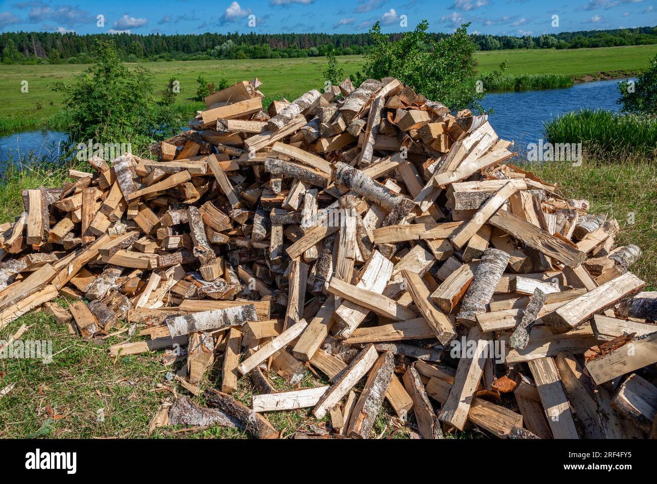 Una pila di legna da ardere sulla riva del fiume Foto Stock