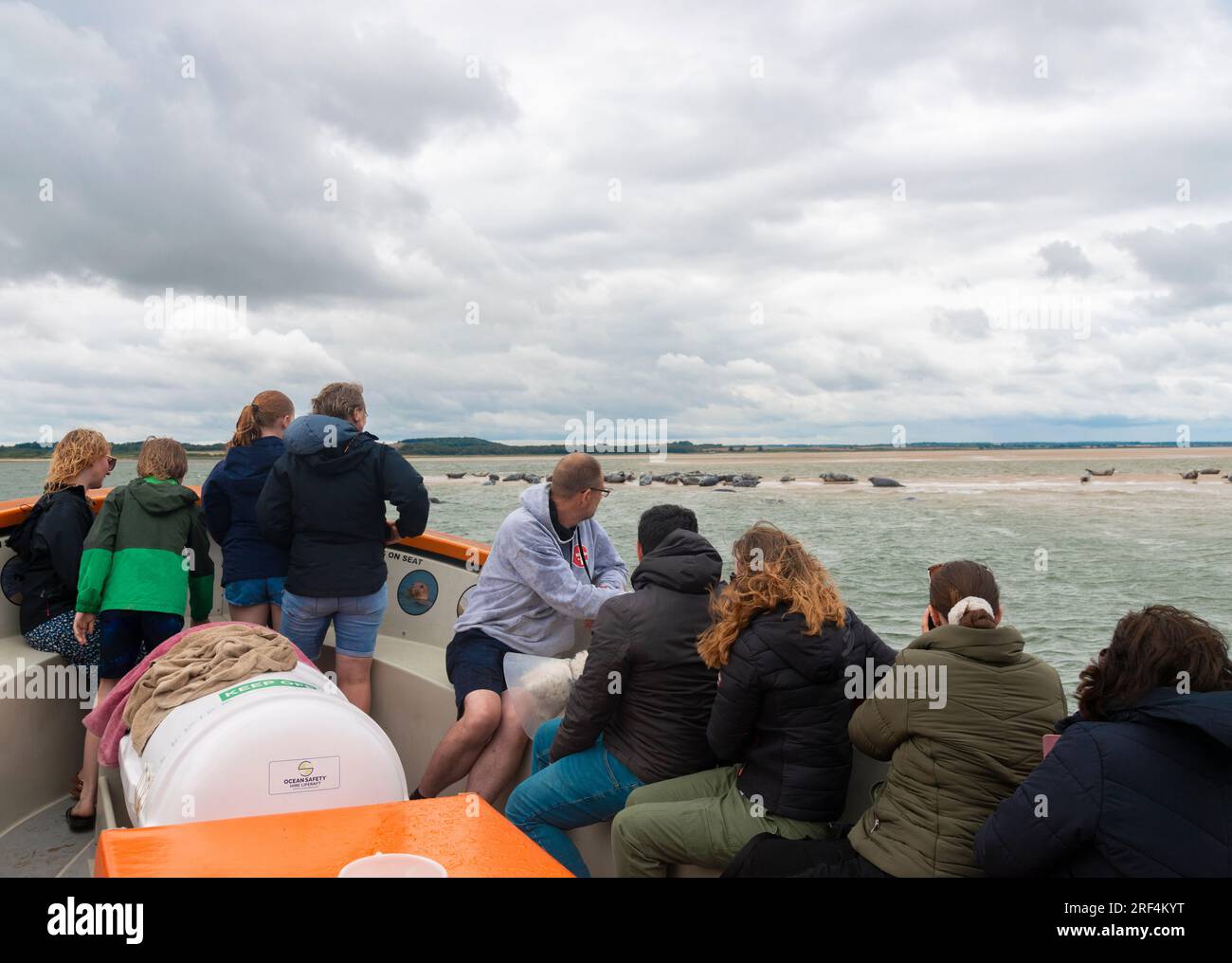 I turisti in viaggio con le foche che partono da Morston Quay osservando le foche grigie sul banco di sabbia di Blakeney Point, North Norfolk, Inghilterra, Regno Unito Foto Stock