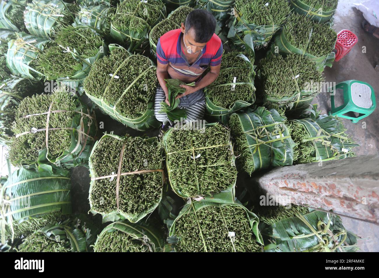 Dhaka, Bangladesh. 31 luglio 2023. I lavoratori impacchettano betel lascia un mercato a Bagerhat, Bangladesh, il 31 luglio 2023. Gli agricoltori del distretto di Bagerhat in Bangladesh sono stati impegnati a raccogliere foglie di betel. La foglia di betel è considerata una delle colture da contante importanti che guadagnano popolarità in Bangladesh. Foto di Habibur Rahman/ABACAPRESS.COM Credit: Abaca Press/Alamy Live News Foto Stock