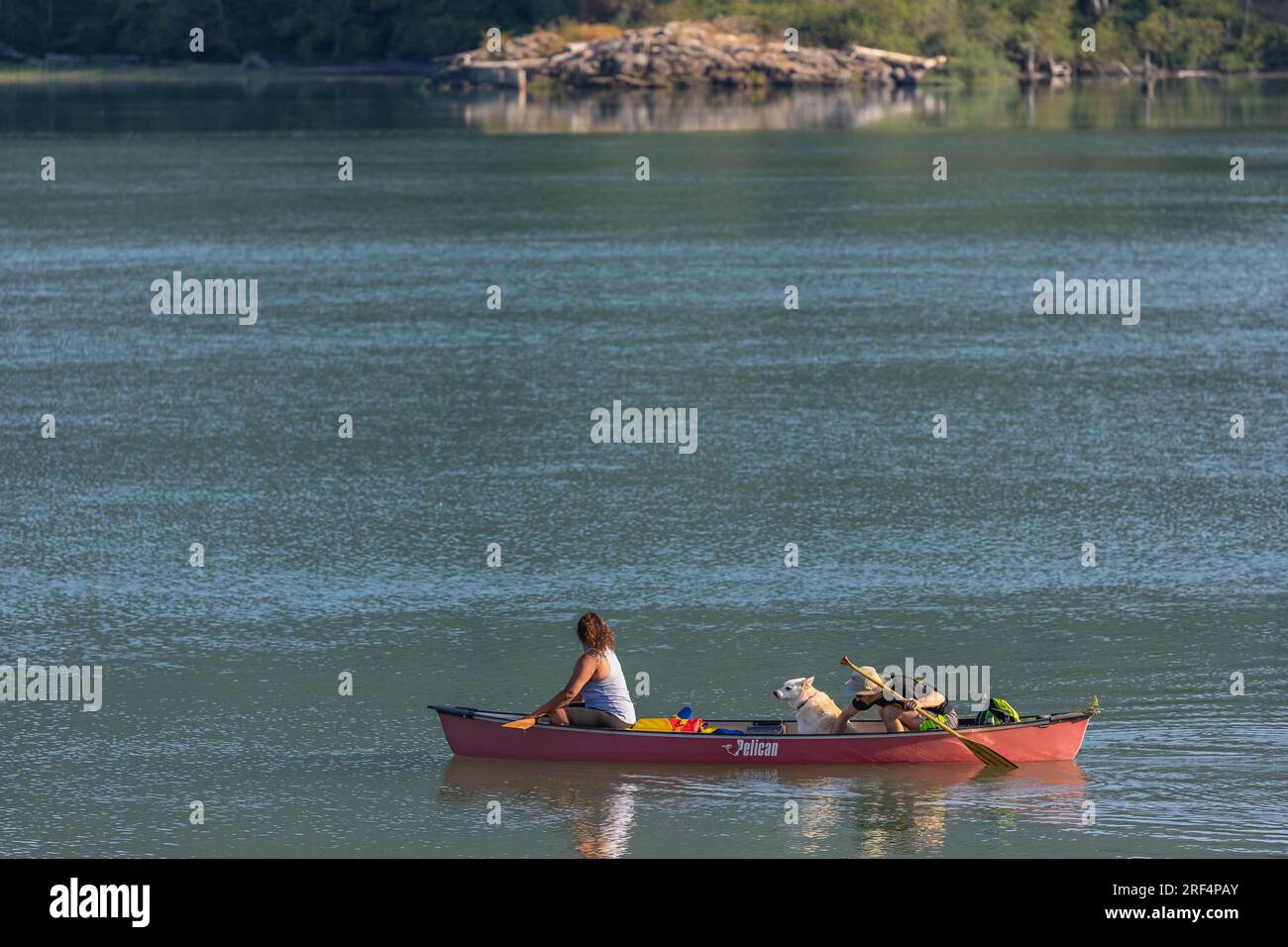 Famiglia di due persone insieme al loro migliore amico cane e coccole in barca a remi nella foresta verde di Pitt Lake, British Columbia Canada.uomo e donna con un cane nel bosco Foto Stock