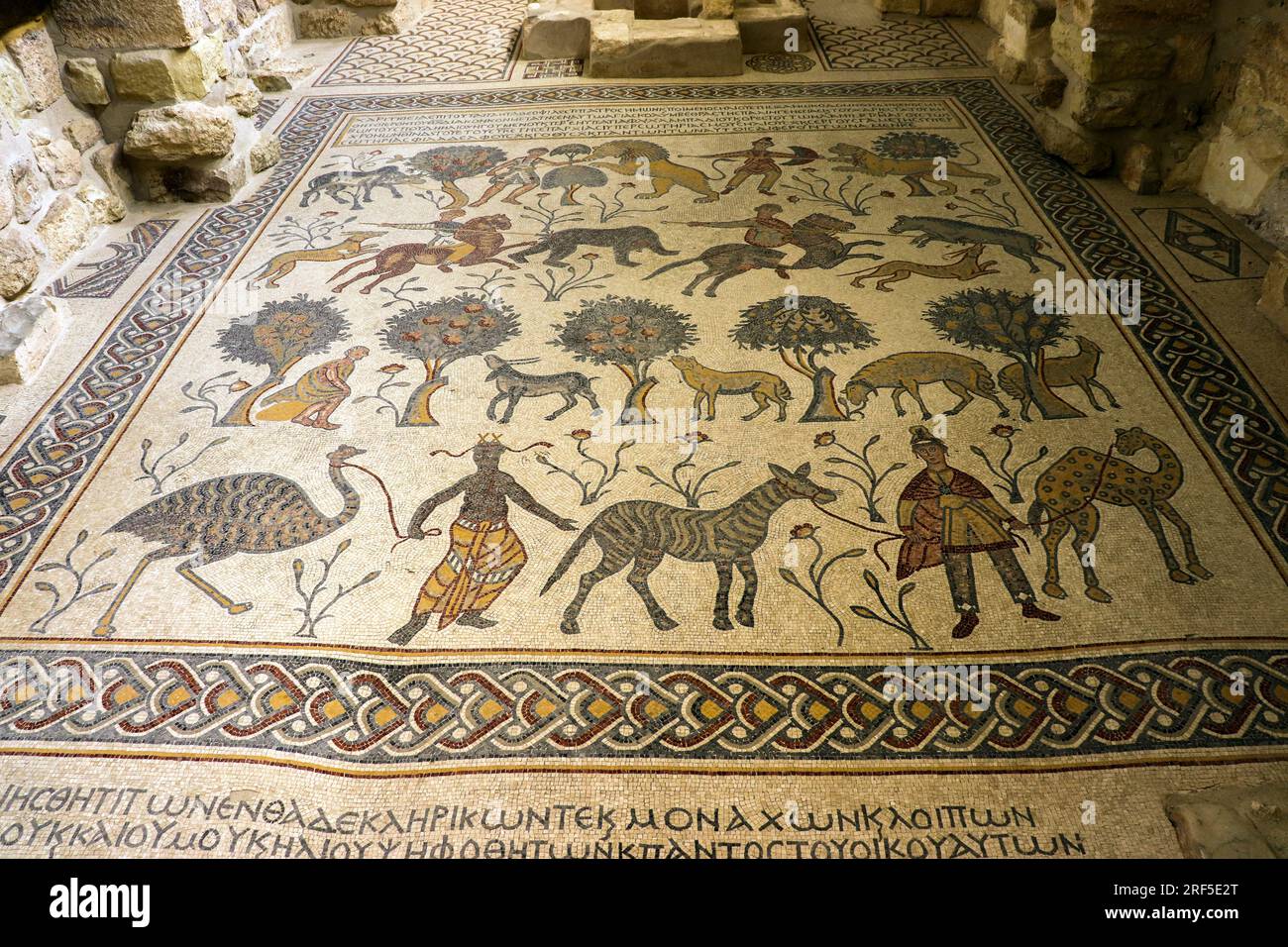 Mosaico della Chiesa del Monte Nebo (Un uomo, un asino, un cavallo, uno struzzo, un cammello e un albero) Madaba, Giordania Foto Stock