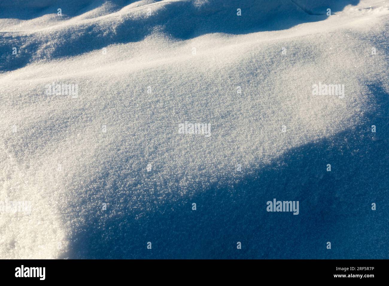 splendidi fenomeni naturali della stagione invernale, ricoperti da uno spesso strato di neve dopo un ciclone con tempeste e nevicate, gelida wea invernale Foto Stock