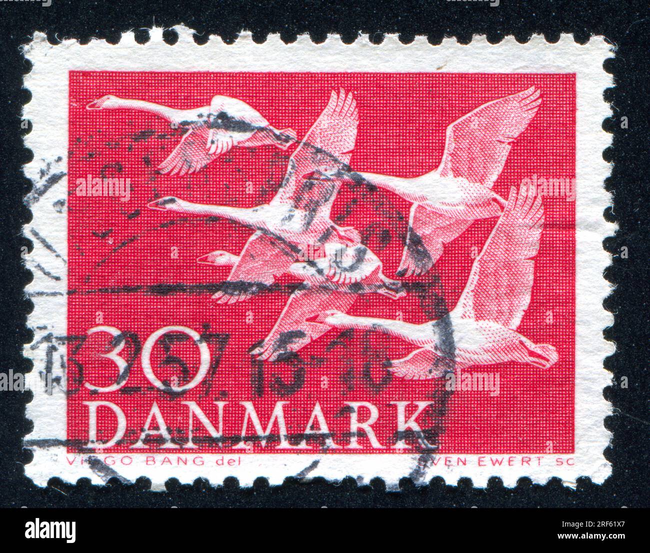 DANIMARCA - CIRCA 1956: Timbro stampato dalla Danimarca, mostra Whooper Swans, circa 1956 Foto Stock