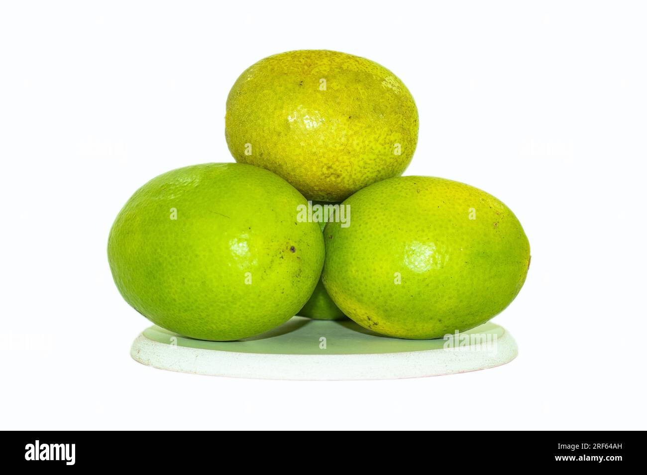 Limone Citrus limon è un tipo di agrumi. Contiene alti livelli di acido citrico. La frutta, il succo e la buccia sono usati per fare medicine Foto Stock