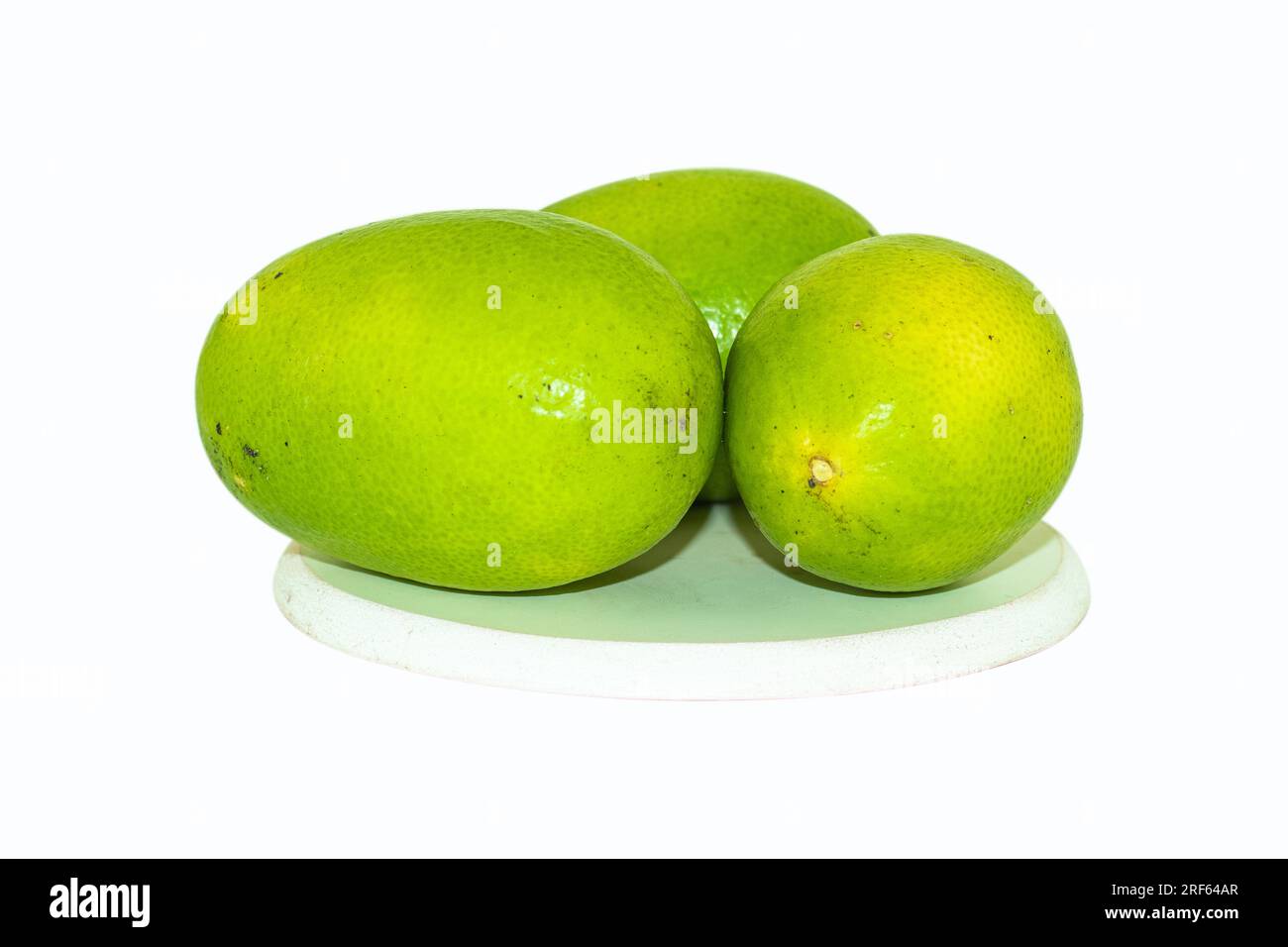 Il limone o Citrus limon è un tipo di agrumi. Contiene alti livelli di acido citrico. La frutta, il succo e la buccia sono usati per fare medicine Foto Stock