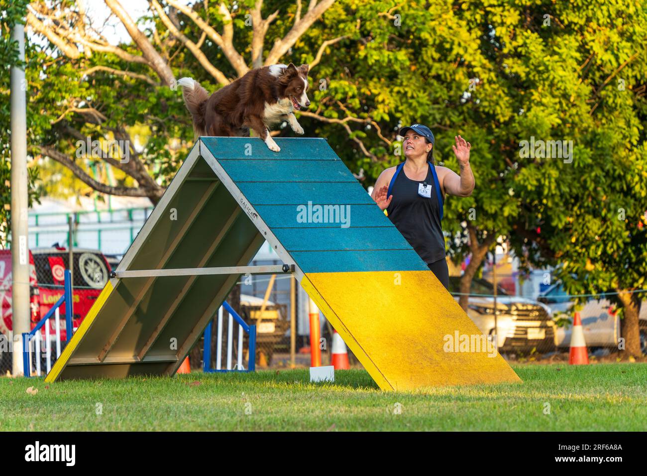 ROYAL DARWIN SHOW, NT AUSTRALIA - 29 luglio 2023: Gara di agilità per cani al Royal Darwin Show 2023. Foto Stock