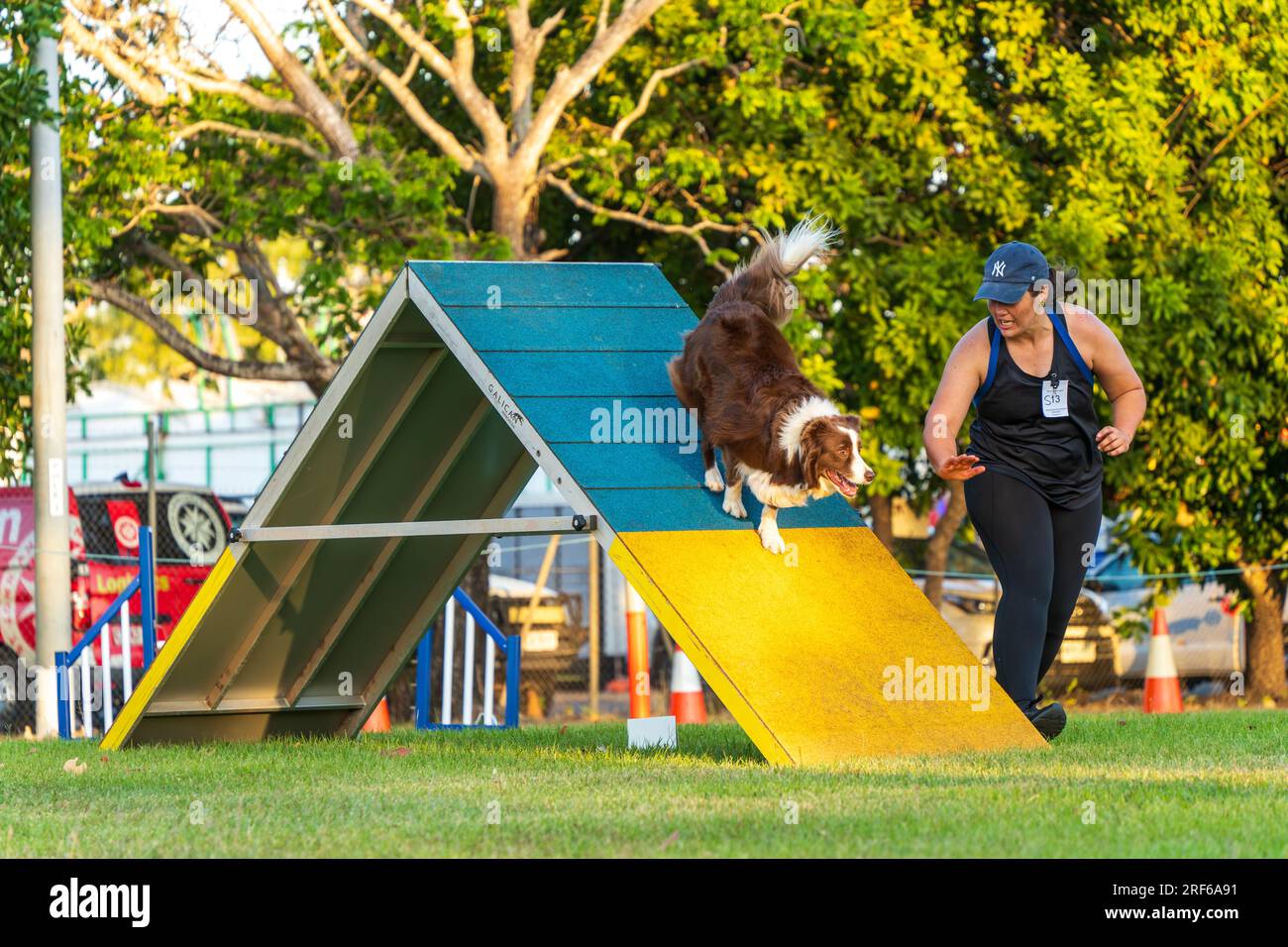 ROYAL DARWIN SHOW, NT AUSTRALIA - 29 luglio 2023: Gara di agilità per cani al Royal Darwin Show 2023. Foto Stock