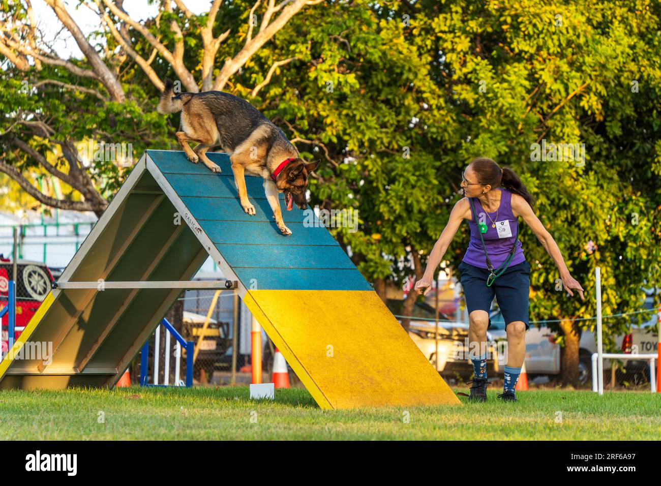 ROYAL DARWIN SHOW, NT AUSTRALIA - 29 luglio 2023: Gara di agilità per cani al Royal Darwin Show 2023. Foto Stock
