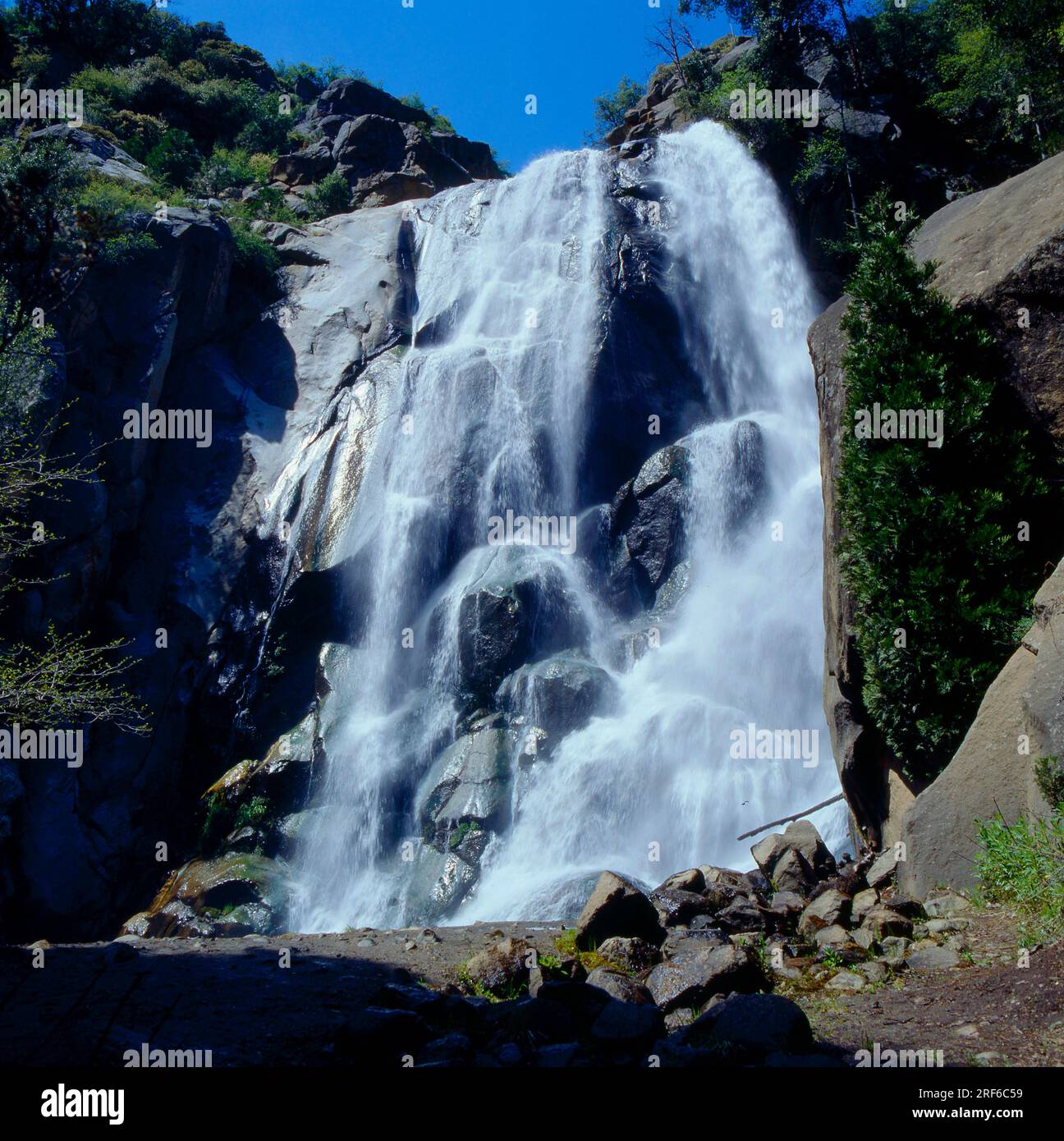 Grizzly Falls sul fiume South Fork Kings nella Sequoia National Forest. Monumento nazionale delle sequoie giganti USA-California, USA Foto Stock