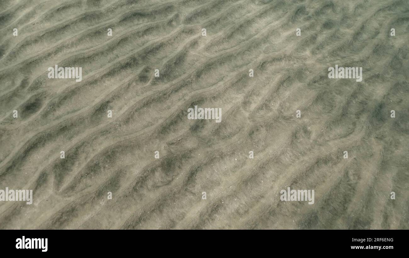 Fondo sabbioso coperto di colline sabbiose, sfondo naturale dalla profondità subacquea, Mar Rosso, Egitto Foto Stock